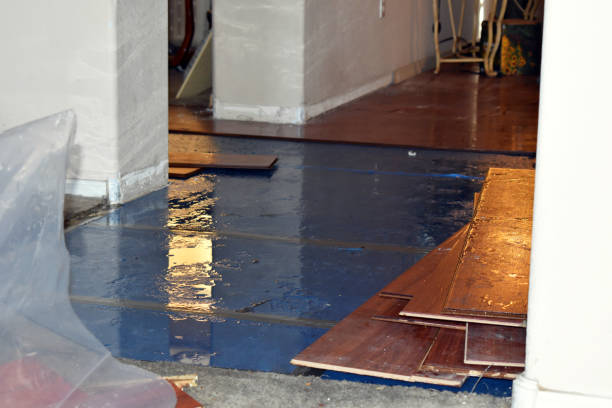 Professional Sewage Cleanup technician working in Millville, MA