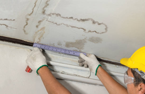 Reliable Sewage Cleanup contractor in Millville, MA by Water Damage Irwin